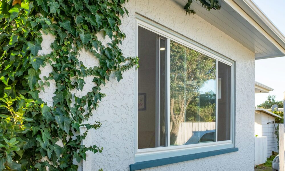 top-5-energy-efficient-window-replacement-options-for-tacoma-homes